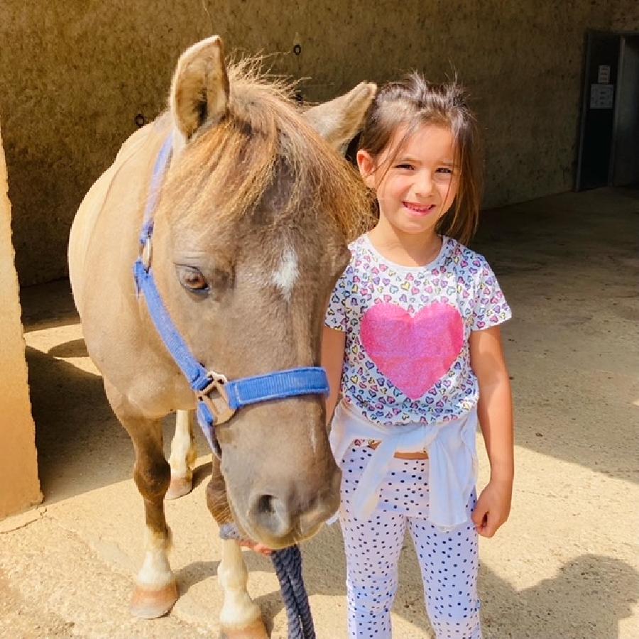 Stage �quitation   photo 5