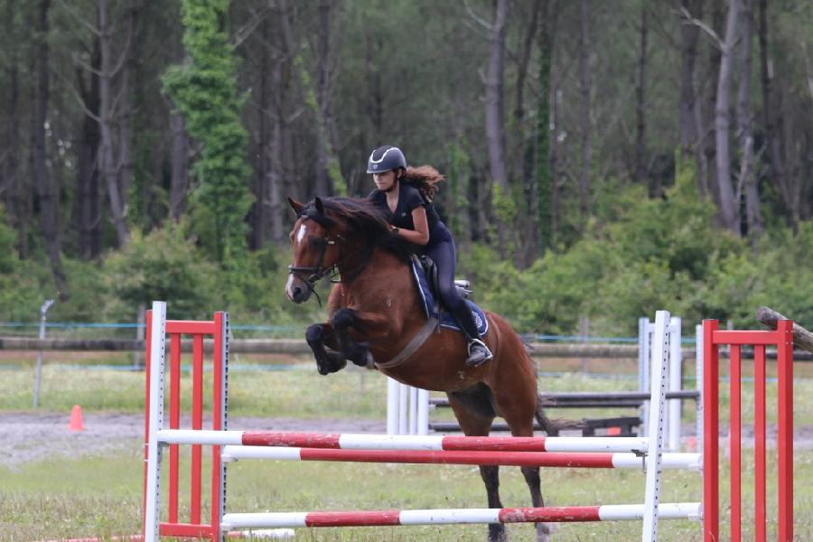 Stage quitation   photo 4