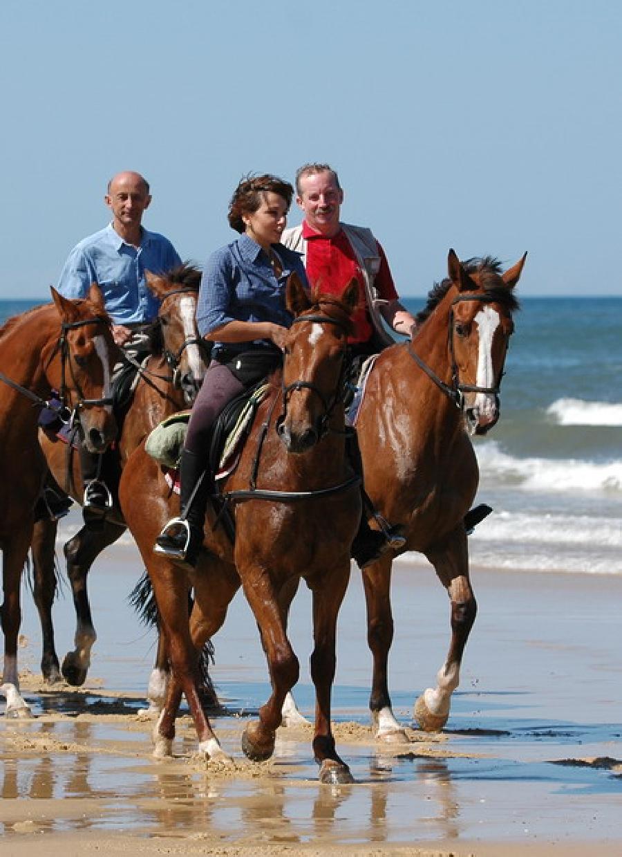 Sjour questre Landes Cte Atlantique Landaise photo 4