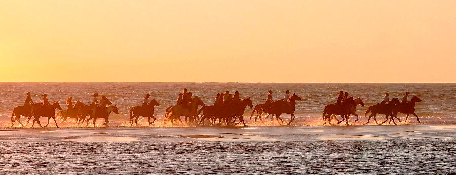 sejour Landes Cte Atlantique Landaise photo 6