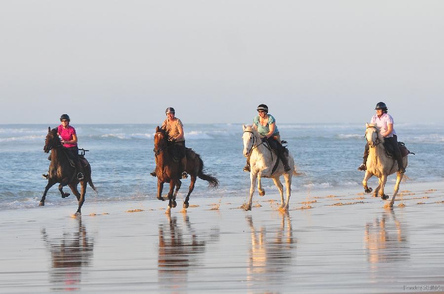 Balade  cheval Landes Cte Atlantique Landaise photo 4