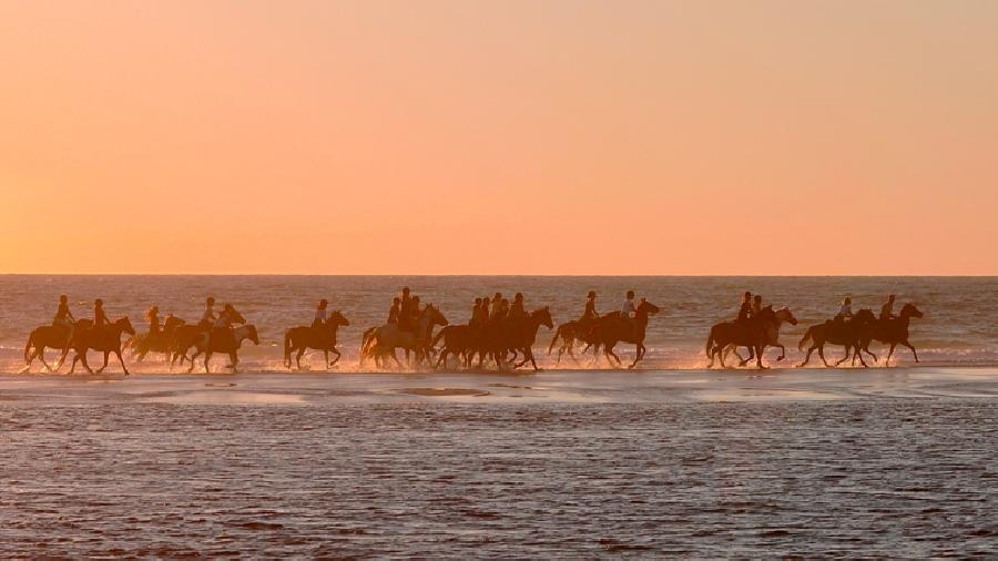 Balade  cheval Landes Cte Atlantique Landaise photo 6