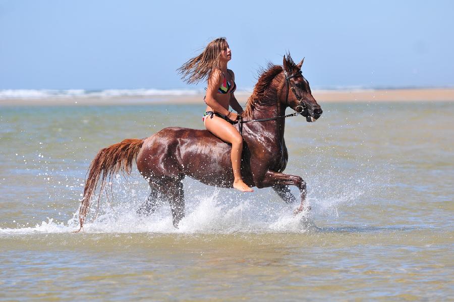 Stage quitation Landes Cte Atlantique Landaise photo 4