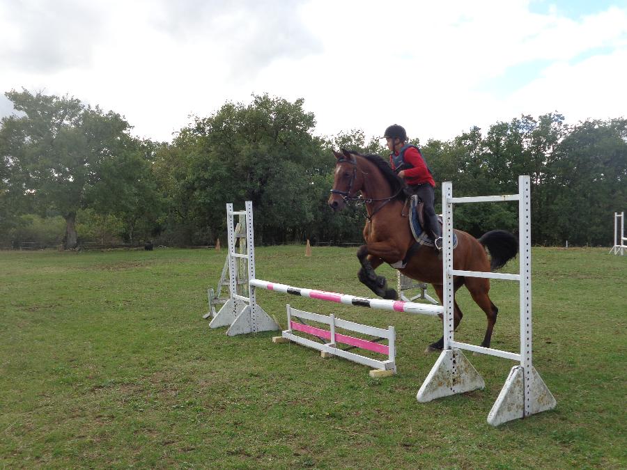 stage Equitation classique Tarn