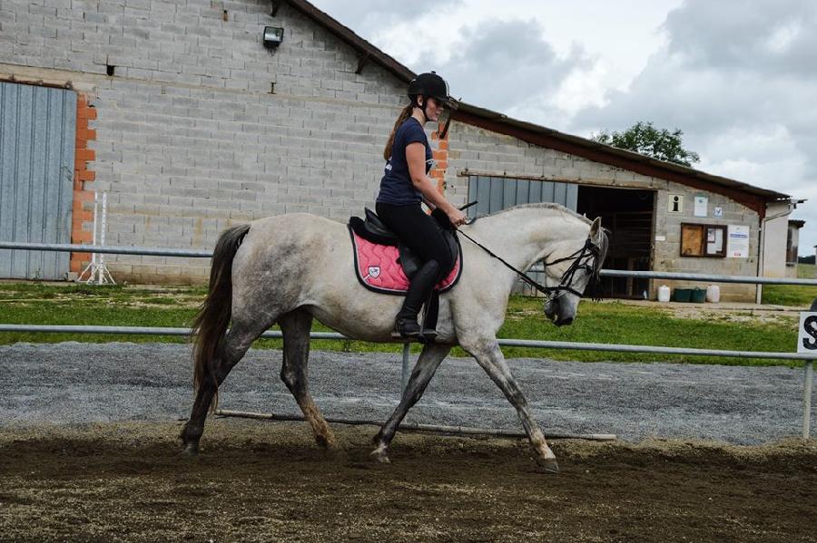Stage quitation   photo 2