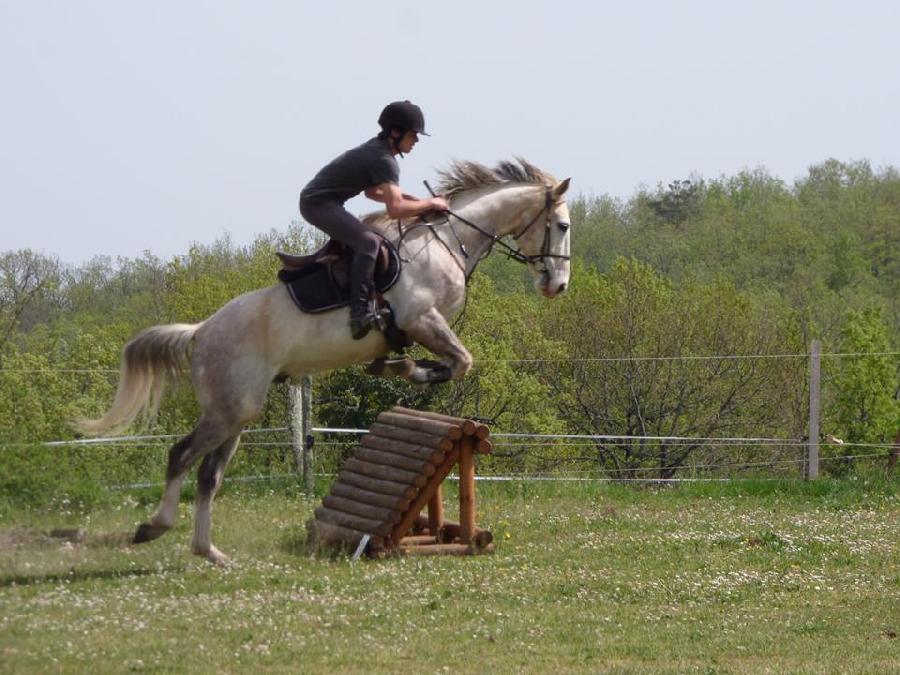 Stage quitation   photo 3
