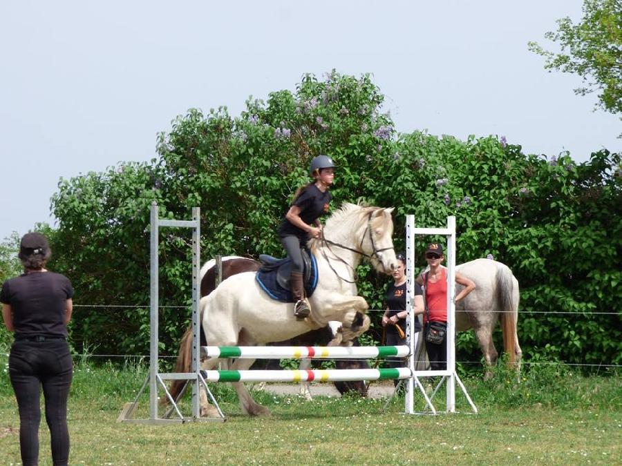 Stage quitation   photo 5
