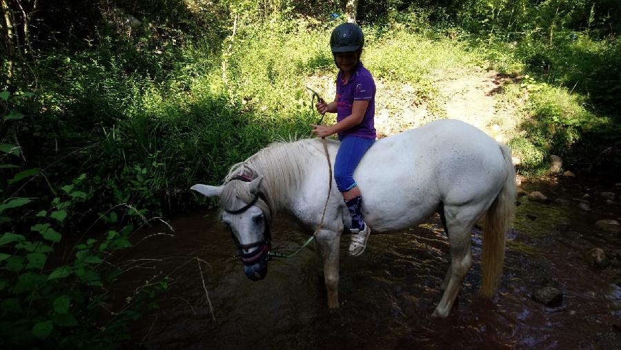 stage Equitation de pleine nature Tarn