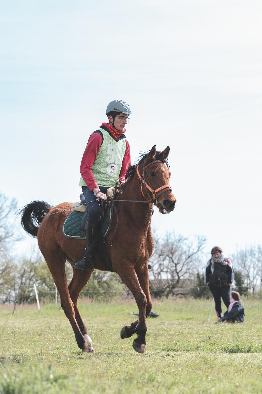 Stage �quitation   photo 2