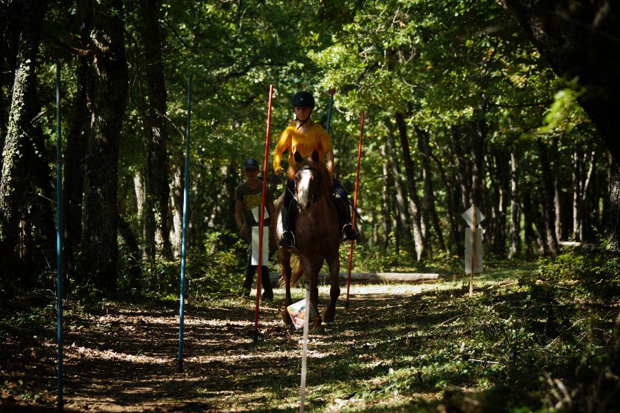 Stage �quitation   photo 3