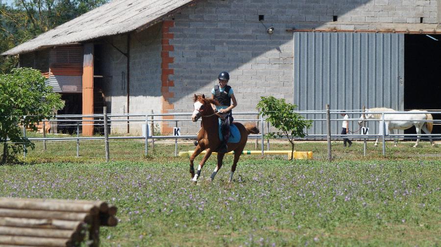 Stage �quitation   photo 5