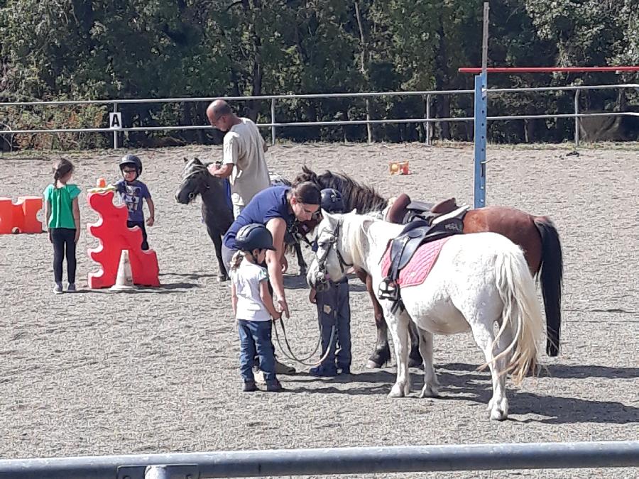 Stage quitation   photo 5