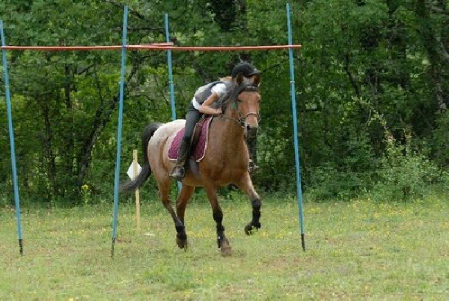 Stage quitation   photo 3