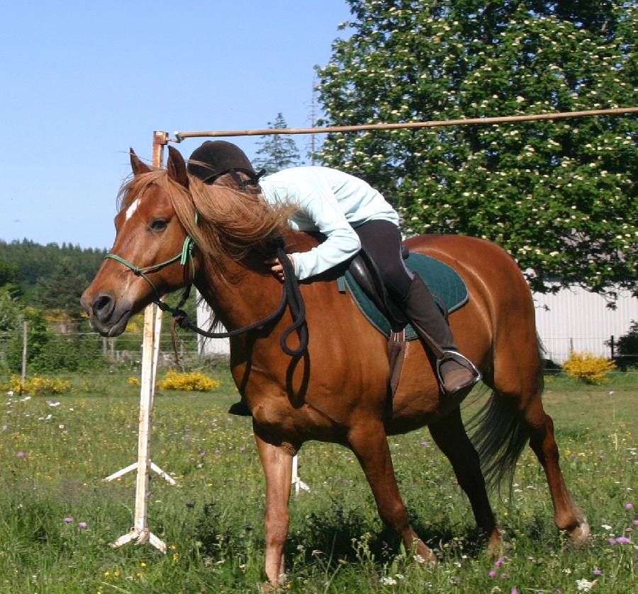 stage Equitation de pleine nature Hrault