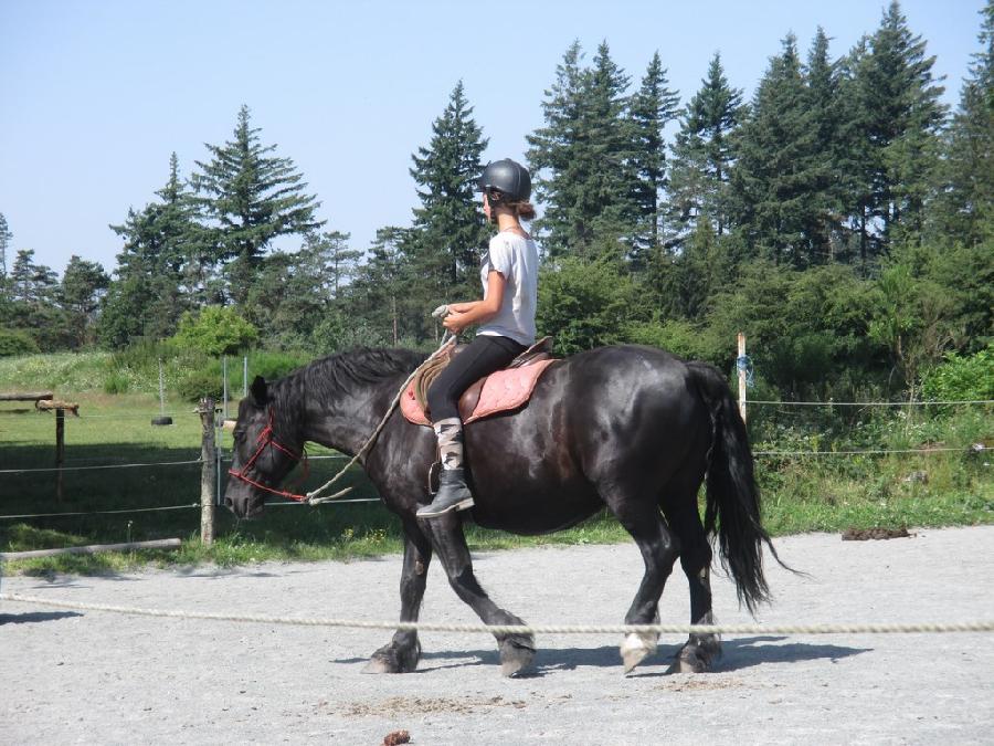 stage Equitation de pleine nature Hrault