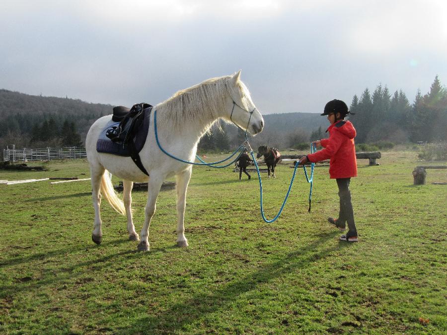 Stage quitation   photo 5