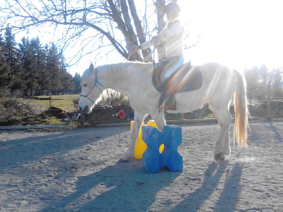 Stage �quitation   photo 4