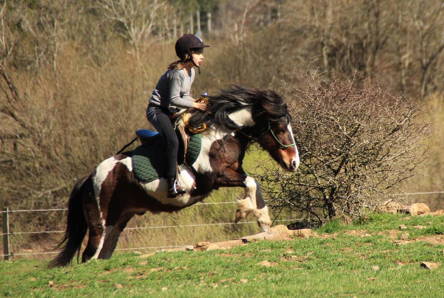 Stage �quitation   photo 6