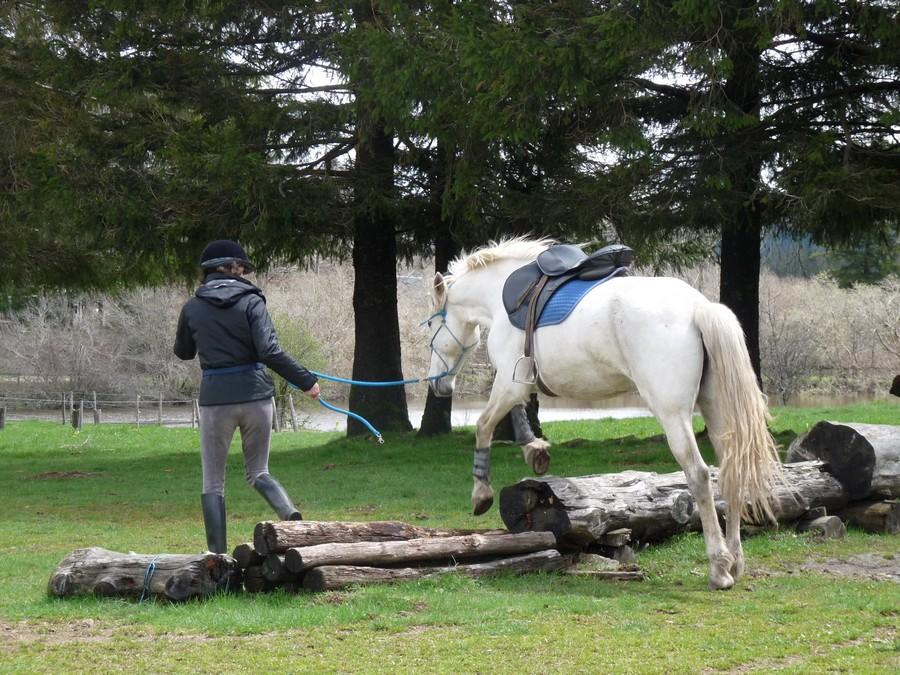 Stage �quitation   photo 2