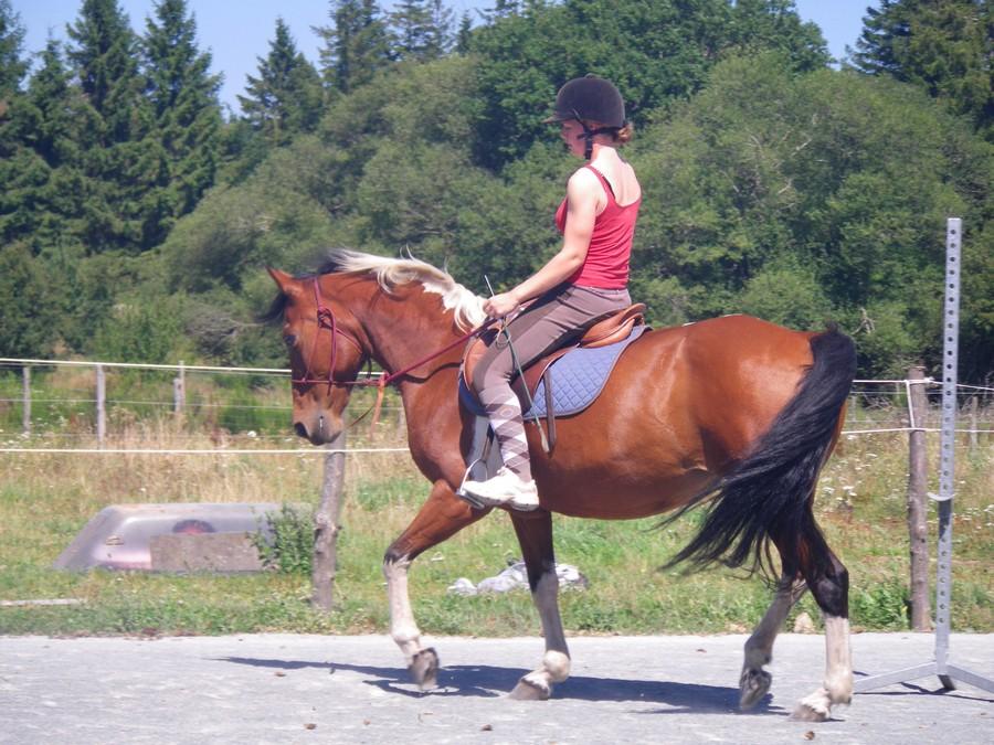 Stage �quitation   photo 5