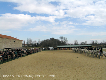 camagri2005-ambiance - 02