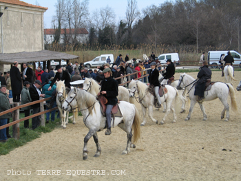 camagri2005-ambiance - 10