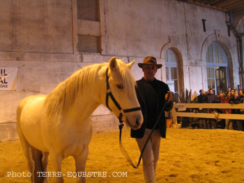camagri2005-ambiance - 23