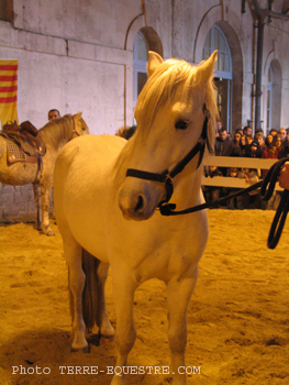 camagri2005-ambiance - 24