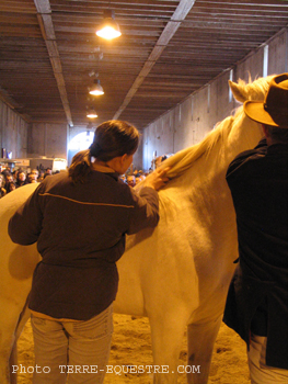 camagri2005-ambiance - 26