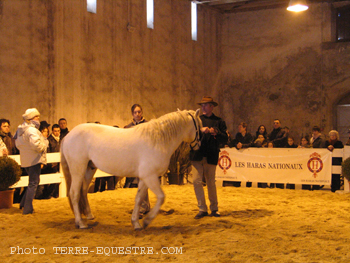 camagri2005-ambiance - 29