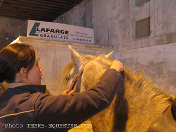 camagri2005-ambiance - 33