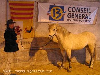 camagri2005-ambiance - 34