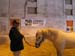 camagri2005-ambiance - 27