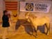 camagri2005-ambiance - 34