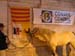 camagri2005-ambiance - 35