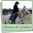 Photos des Chevaux Camargue et des Cavaliers camarguais