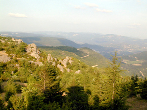 LA ROUTE DU SEL