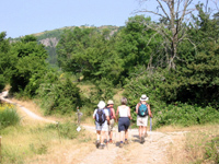 LA ROUTE DU SEL