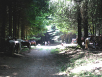LA ROUTE DU SEL