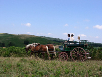 LA ROUTE DU SEL
