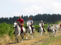 LA ROUTE DU SEL