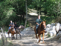 LA ROUTE DU SEL