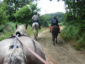 LA ROUTE DU SEL