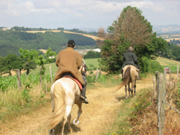 LA ROUTE DU SEL