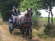 LA ROUTE DU SEL