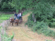 LA ROUTE DU SEL