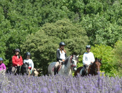 Domaine questre du Moulin  <em>26160 La Btie-Rolland</em> Drme