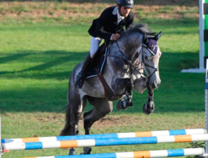 Domaine Equestre Land Rohan   Loire-Atlantique