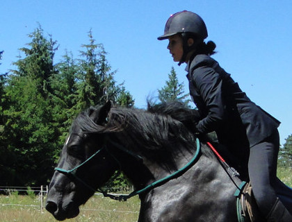 Ecole d'Equitation du Somail  <em>34330 La Salvetat-sur-Agout</em> Hrault