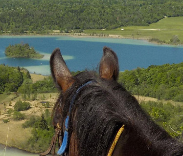 L'curie des 4 Lacs  <em>39130 Le Frasnois</em> Jura